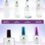Envases y precios