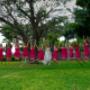 Boda
