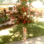 de evento