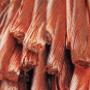 COBRE