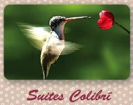 Hotel Suites Colibri