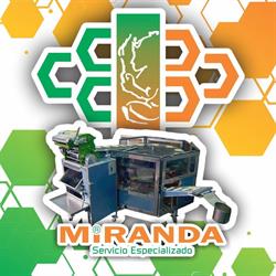 Ser Esp Miranda