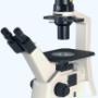 Microscopio Binocular MOTIC