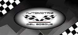 Automotriz Del Bosque