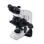 microscopio