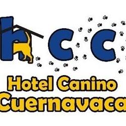 Hotel Canino Cuernavaca