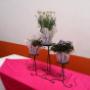 fiesta jardin queretaro