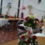fiesta jardin queretaro