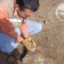 Rescate de Especies, Proyecto: Banco de Materiales