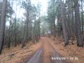 PROGRAMAS DE MANEJO FORESTAL