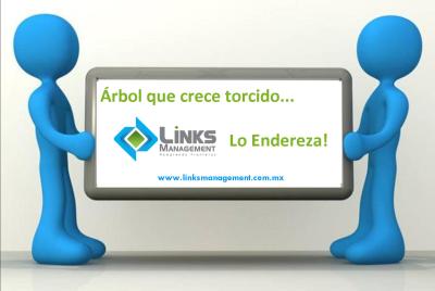 Links-Management