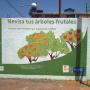 pinta de bardas