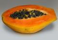 PAPAYA MARADOL
