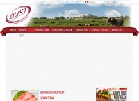 Sitio web de Grupo Gusi S de Pr de rl