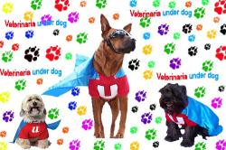 Veterinaria Underdog