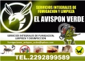 Fumigaciones Avispón S. C. de C. V.