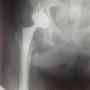 Subido por visitante en 19/08/2017
