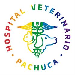 Hospital Veterinario Peques Pachuca
