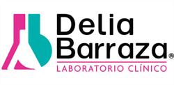 Analisis Delia Barraza