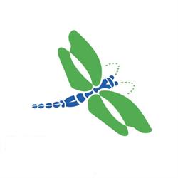 Insecta