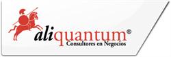 Aliquantum