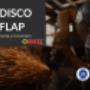 Disco Flap