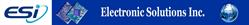 Electronic S Inc, SA de Cv