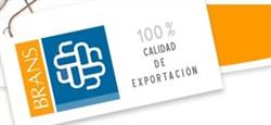 Brans Tejido de Punto SA de Cv