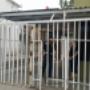 Subido por visitante en 23/01/2016