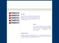 Manufacturing Solutions de Mexico S.A. de C.V.