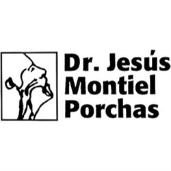 Dr. Jesús Montiel Porchas