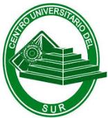Centro Universitario del Sur