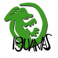 Hotel Iguanas