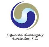 Figueroa Almanza y Asociados, S. C.