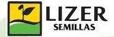 Lizer Semillas