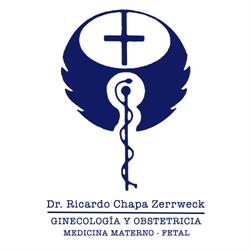 Chapa Zerrweck Ricardo