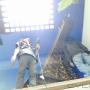 Subido por visitante en 29/02/2016 - instalacion de vinil en techo