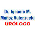 Dr. Ignacio M. Muñoz Valenzuela