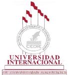 Universidad Internacional