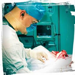 Orthodiagnostica