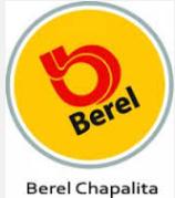 Pinturas Berel Chapalita