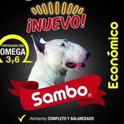 Vettoro