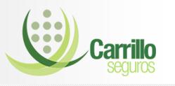 Carrillo Seguros