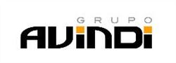 Grupo Avindi