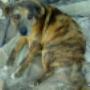 Subido por visitante en 20/06/2017