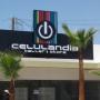 CELULANDIA