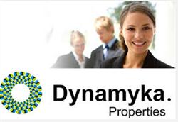 Dynamyka Properties