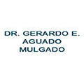 Dr. Gerardo E. Aguado Mulgado