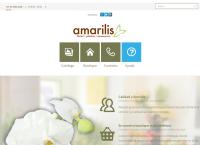 Sitio web de Floreria Amarilis Servicio Internacional