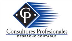 Consultores Profesionales